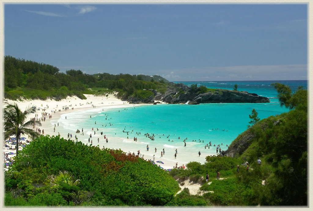 les chevauxhoe la baie bermudes